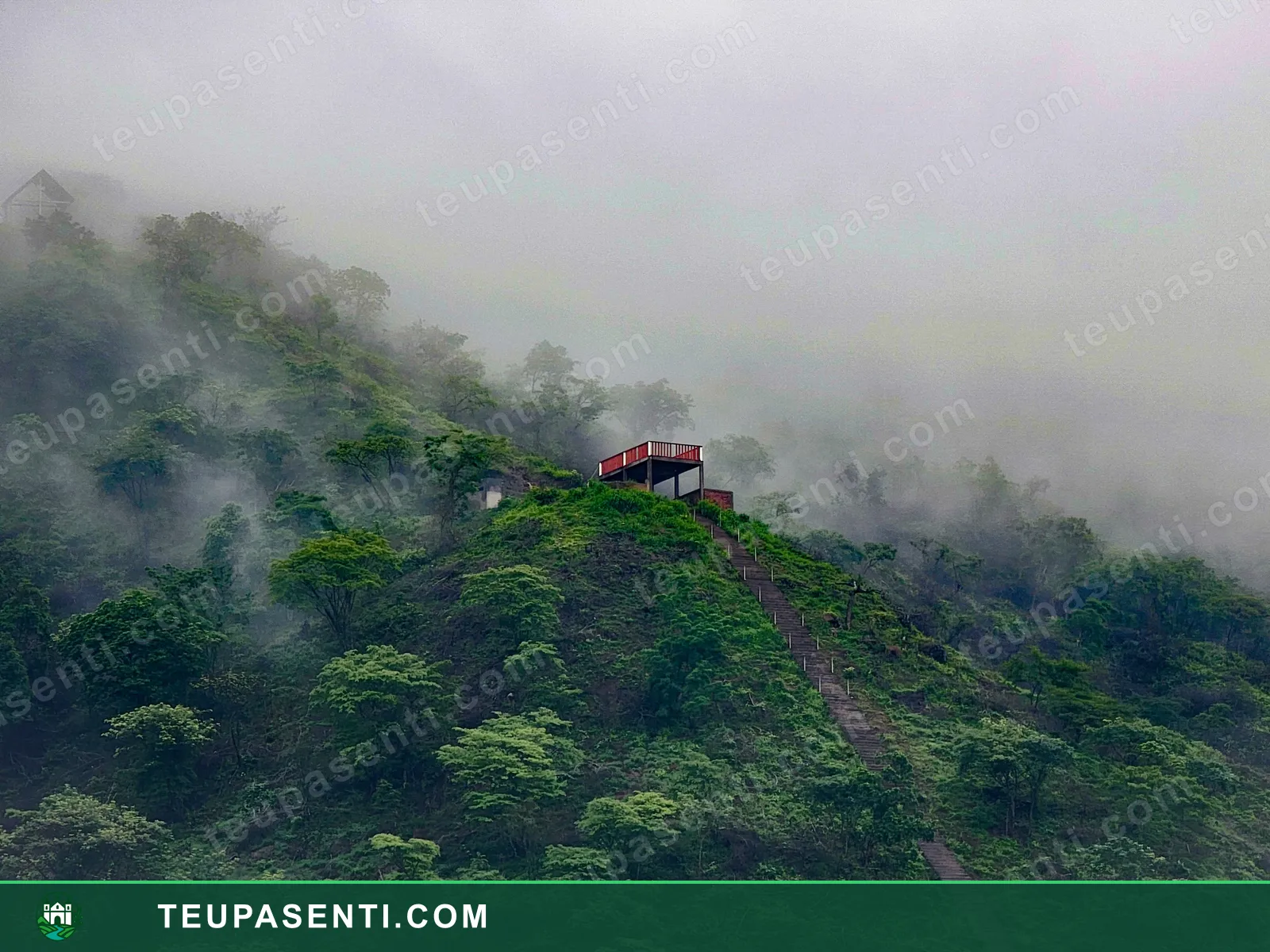 El Mirador
