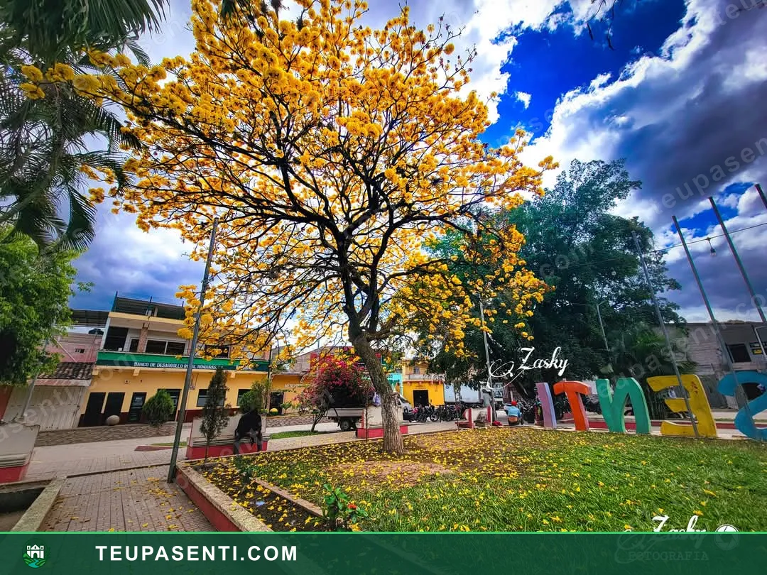 Fotografía del municipio de Teupasenti 3