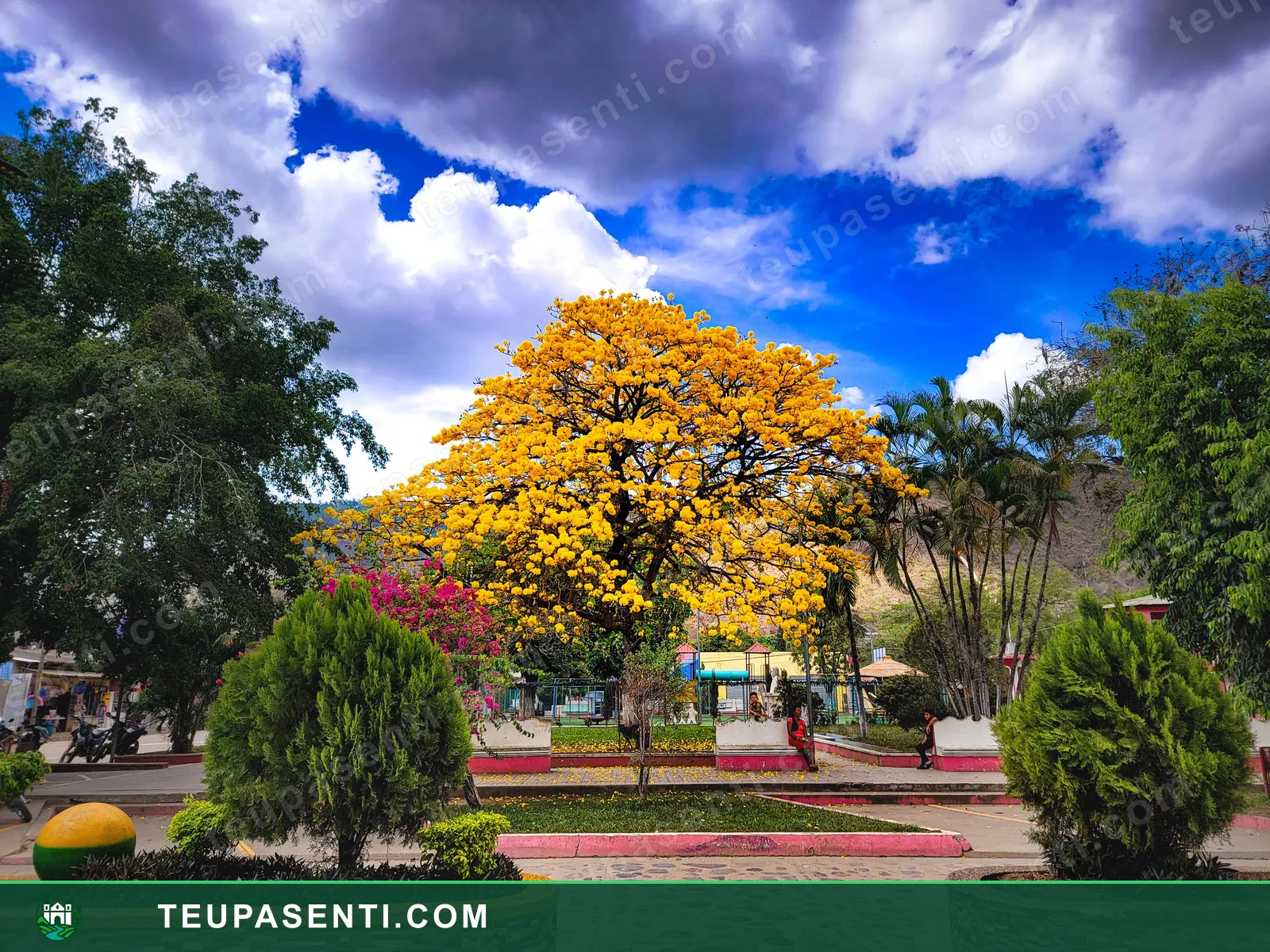 Fotografía de Teupasenti por Zasky Murillo